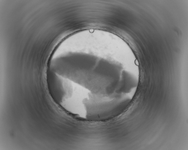 X0000112960899200910081043