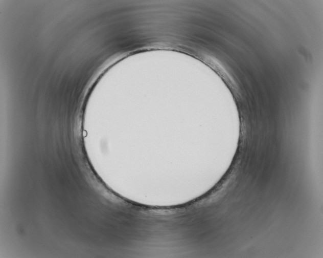 X0000112960900200910081043