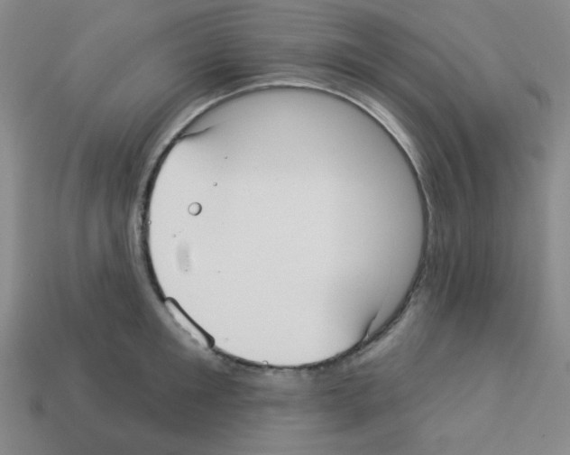 X0000112960901200910081043