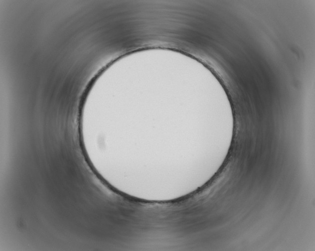 X0000112960902200910081043