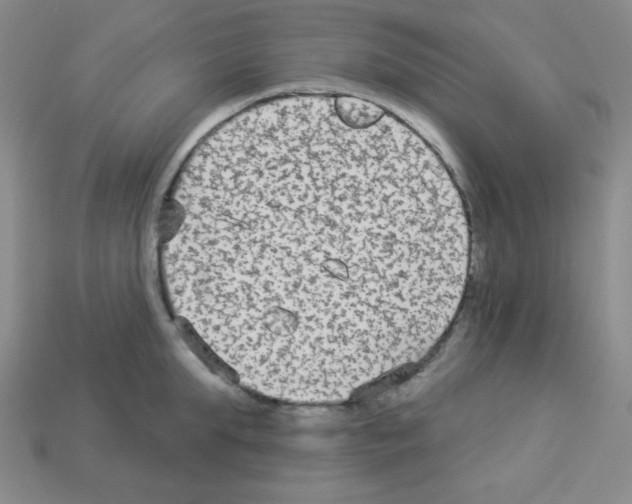 X0000112960903200910081043