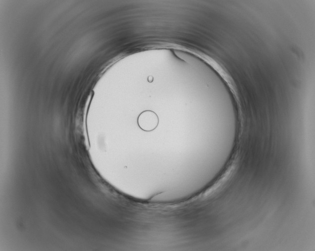 X0000112960905200910081043