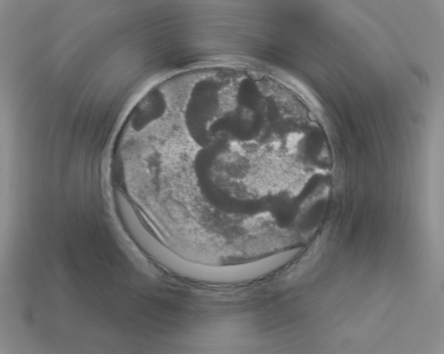 X0000112960907200910081043