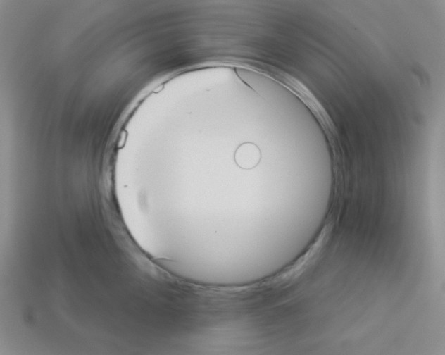 X0000112960908200910081043