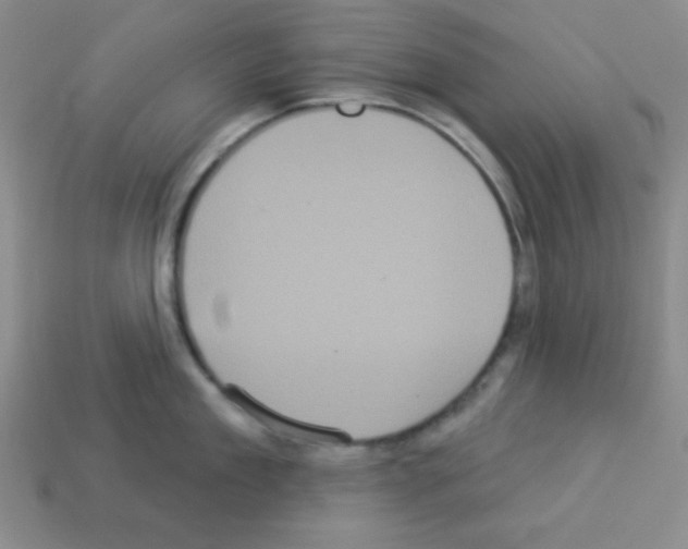 X0000112960909200910081043