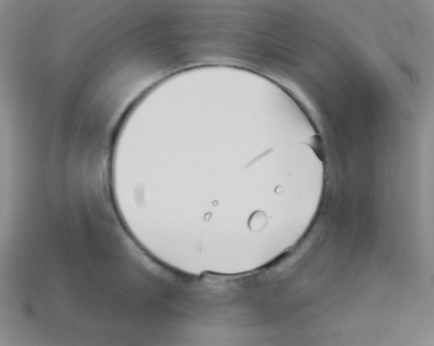 X0000112960910200910081043