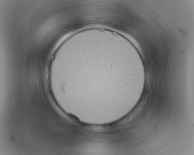 X0000112960911200910081043