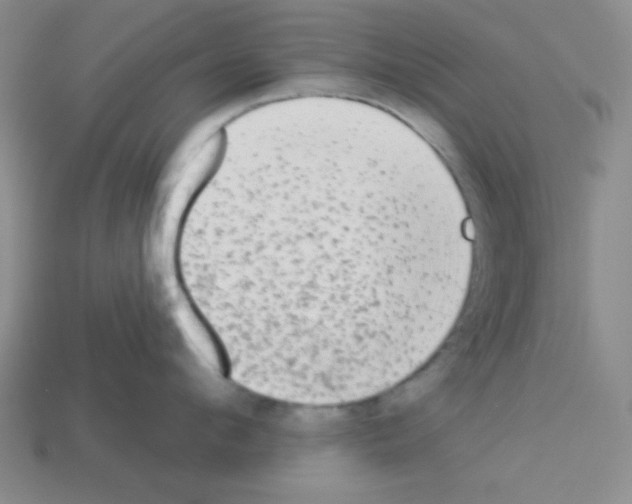 X0000112960912200910081043