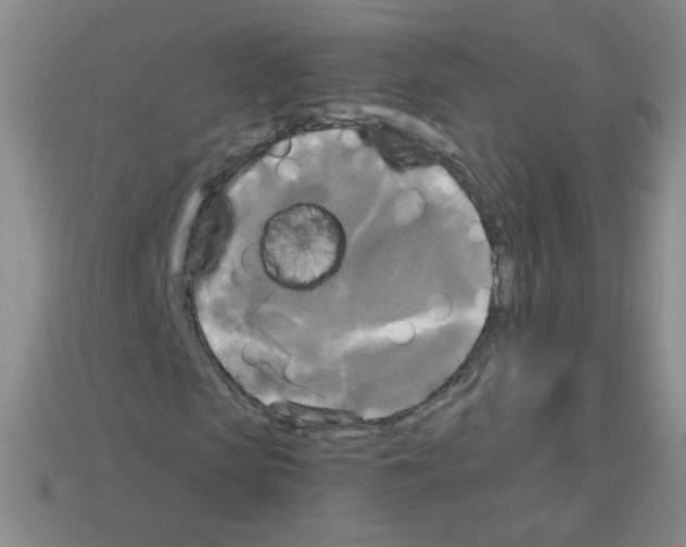 X0000112960913200910081042