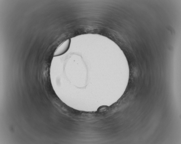 X0000112960914200910081042