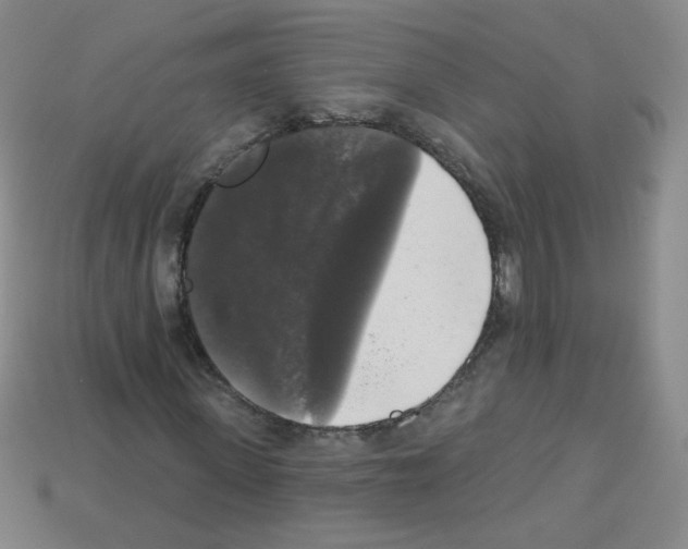 X0000112960915200910081042