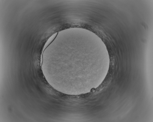 X0000112960916200910081042