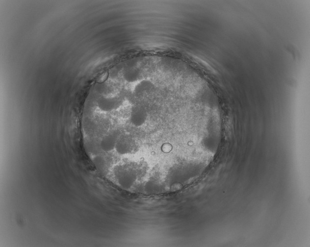 X0000112960917200910081042