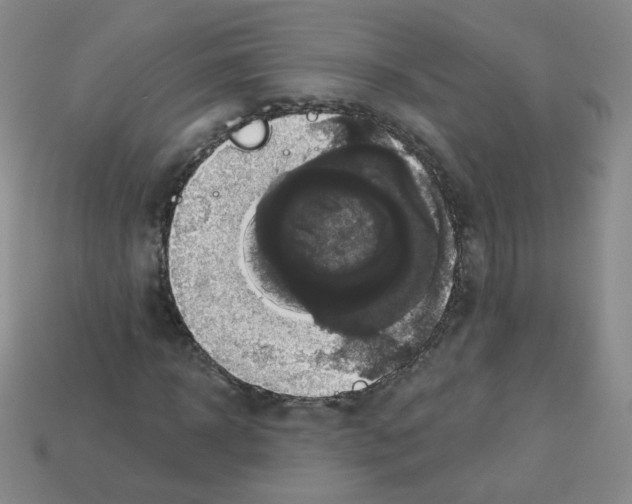 X0000112960918200910081042