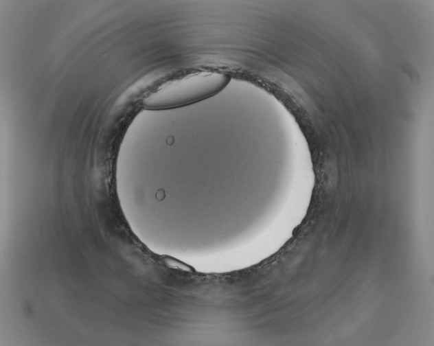 X0000112960920200910081042