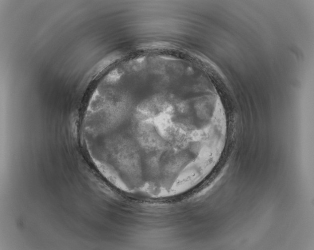 X0000112960921200910081042