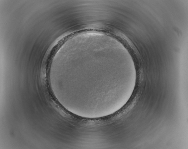 X0000112960923200910081043