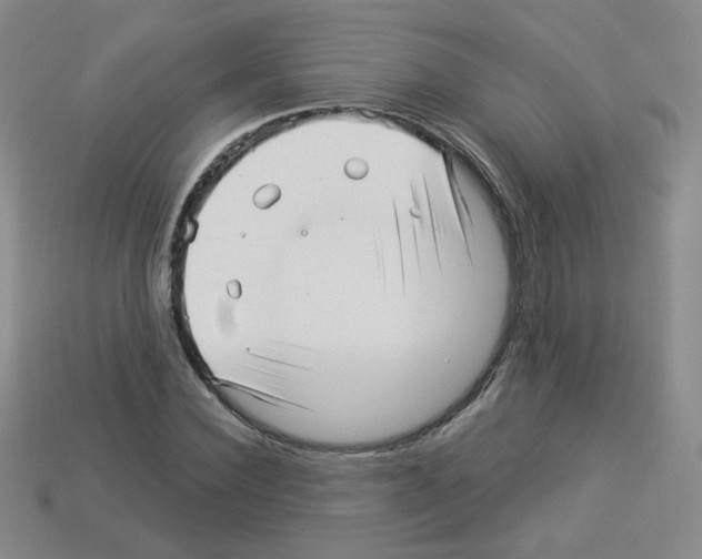 X0000112960924200910081043