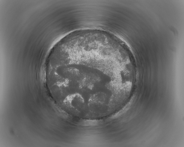 X0000112960925200910081043