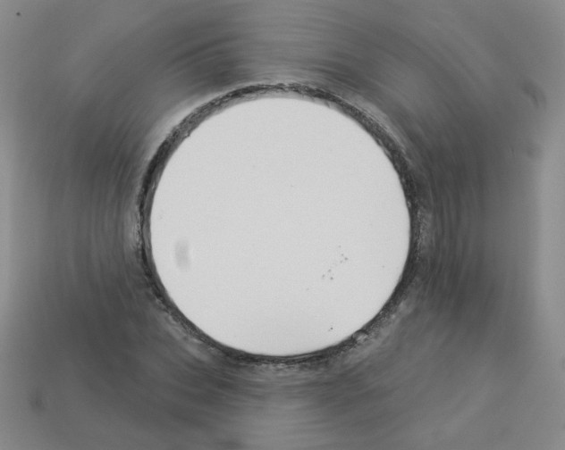 X0000112960927200910081043