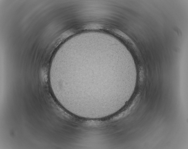 X0000112960929200910081043