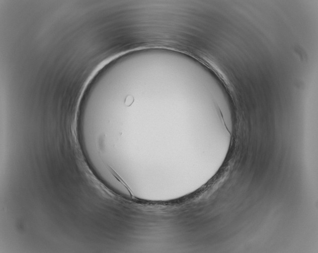 X0000112960932200910081043