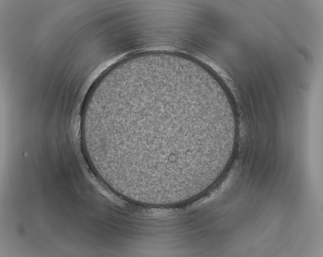 X0000112960933200910081043