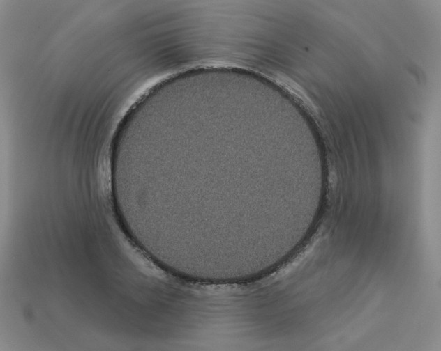 X0000112960934200910081043