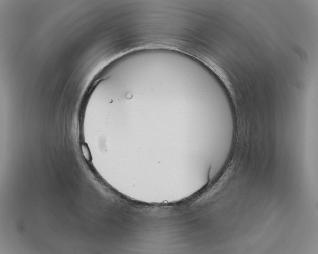 X0000112960936200910081043