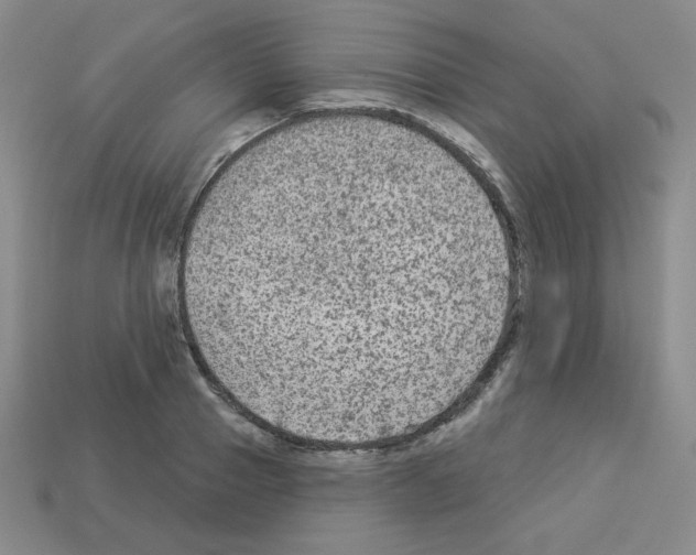 X0000112960937200910081043