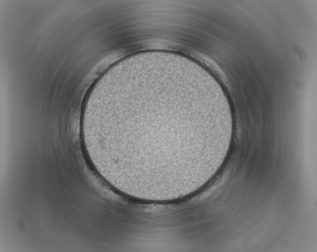 X0000112960938200910081043