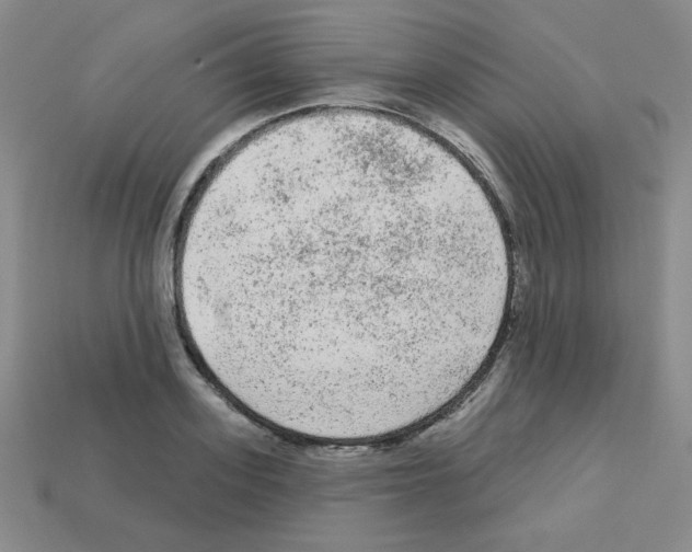 X0000112960939200910081043