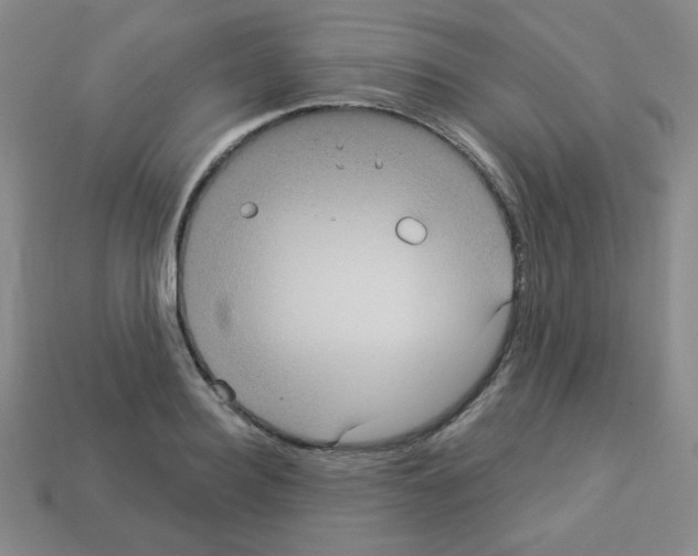 X0000112960940200910081043