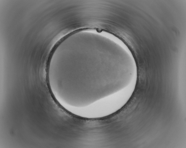 X0000112960944200910081043