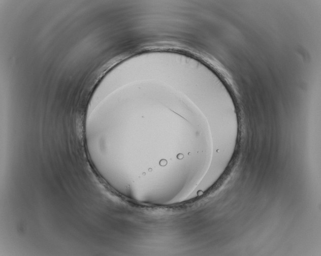 X0000112960945200910081043