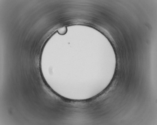 X0000112960946200910081043