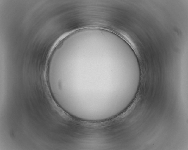 X0000112960948200910081043