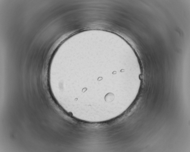 X0000112960949200910081043