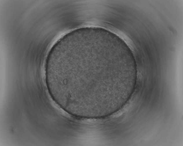 X0000112960950200910081043