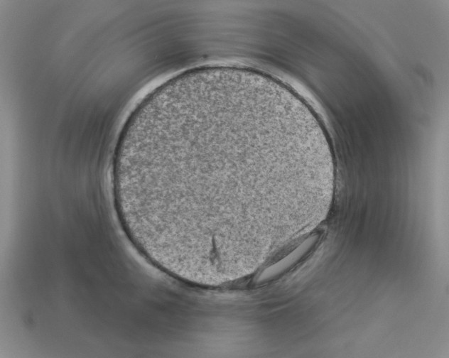 X0000112960951200910081043