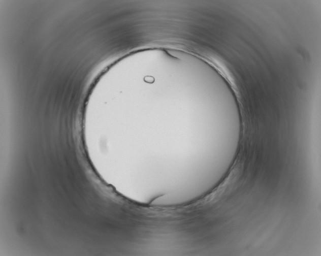 X0000112960952200910081043