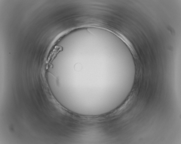 X0000112960956200910081043