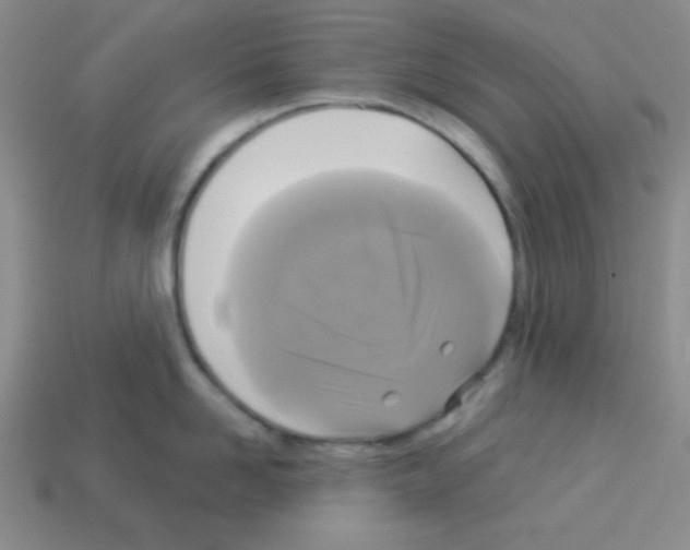 X0000112960958200910081043