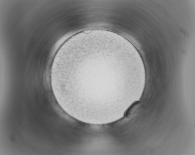 X0000112960960200910081043