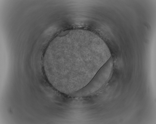 X0000112960961200910081042