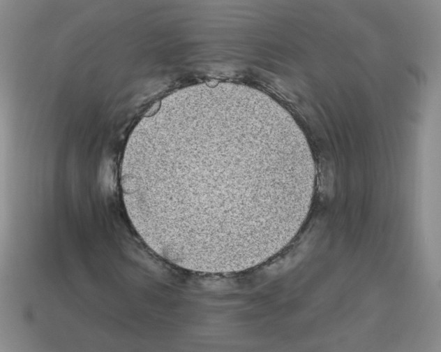 X0000112960962200910081042