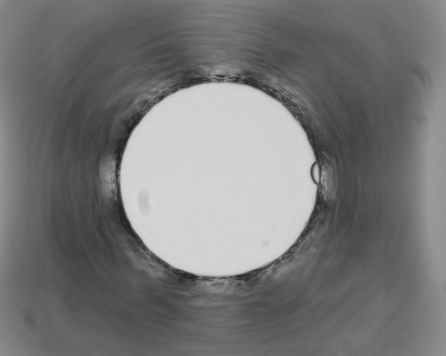 X0000112960963200910081042