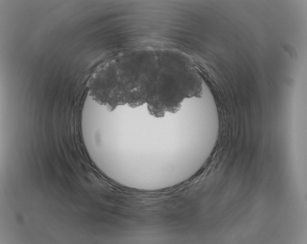 X0000112960964200910081042