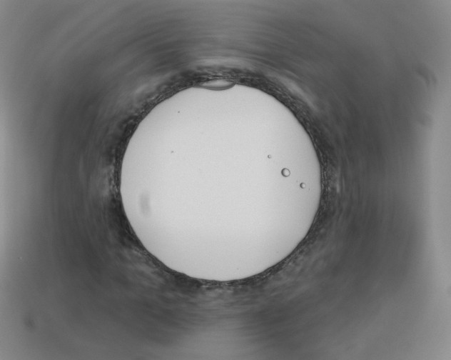 X0000112960965200910081042