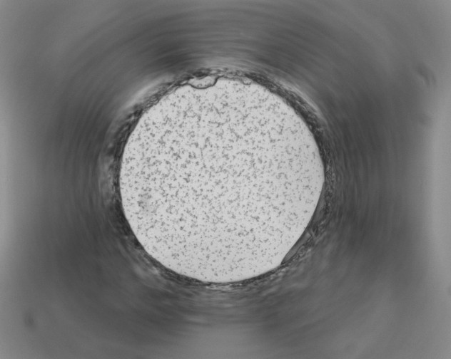 X0000112960968200910081042